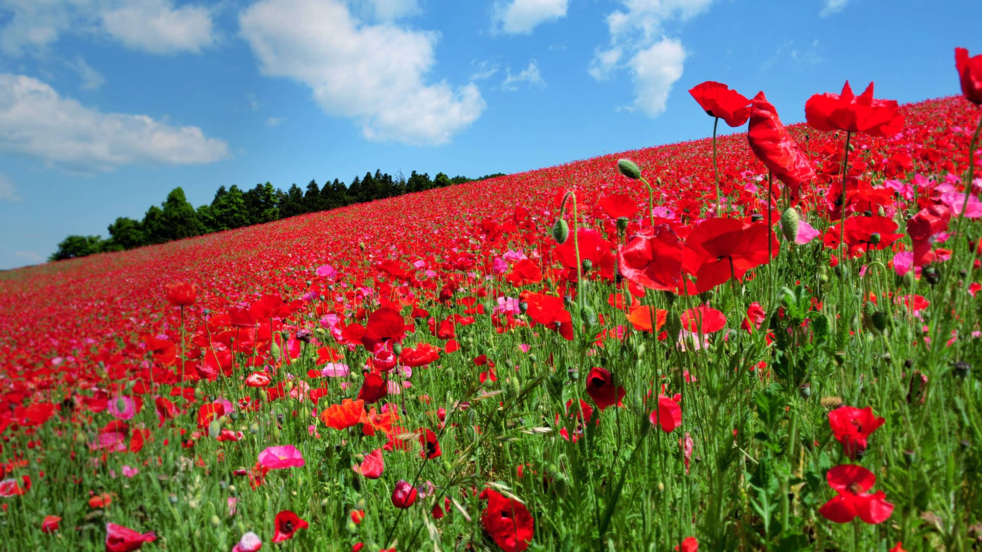 大切な時間を大切な人と。